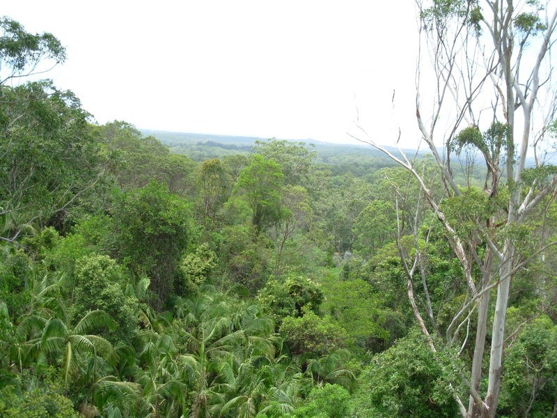 109 Sunrise Rd, Tinbeerwah QLD 4563