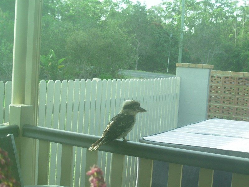 109 Sunrise Rd, Tinbeerwah QLD 4563