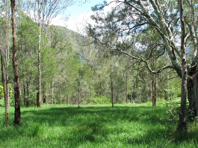273 Foggs Road, Samford QLD 4520