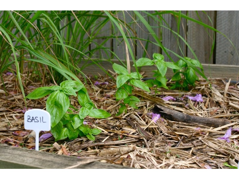 10 Drummond st, Greenslopes QLD 4120