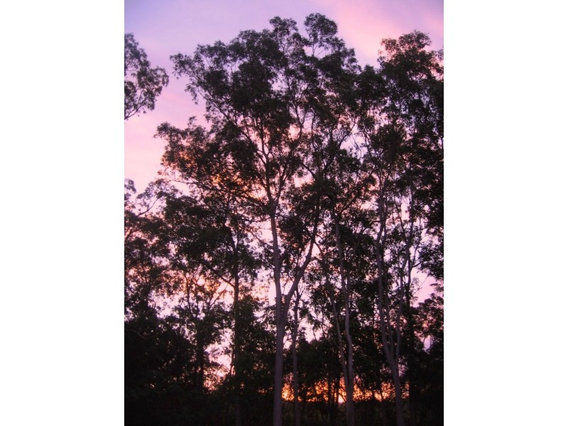 14 Retreat Court, Bunya QLD 4055