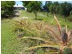 lot 6 Birralee Close, Closeburn QLD 4520