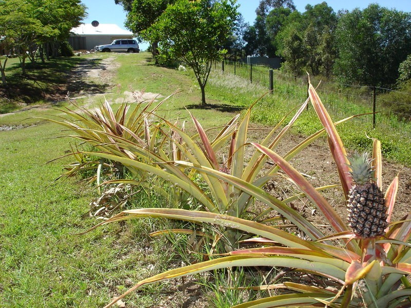 lot 6 Birralee Close, Closeburn QLD 4520