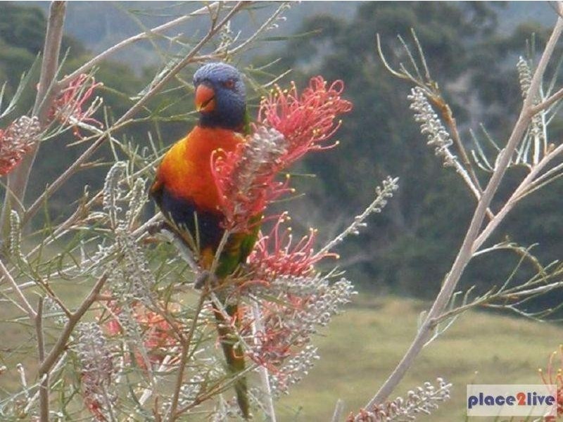 177 Gympie-Kin Kin Road, Kin Kin QLD 4571