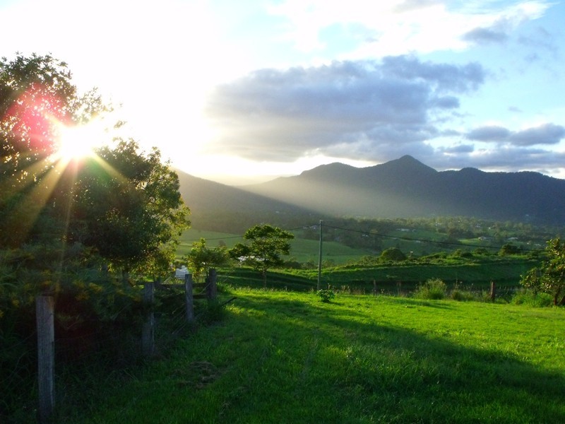 2 Rosemont Court, Samford QLD 4520