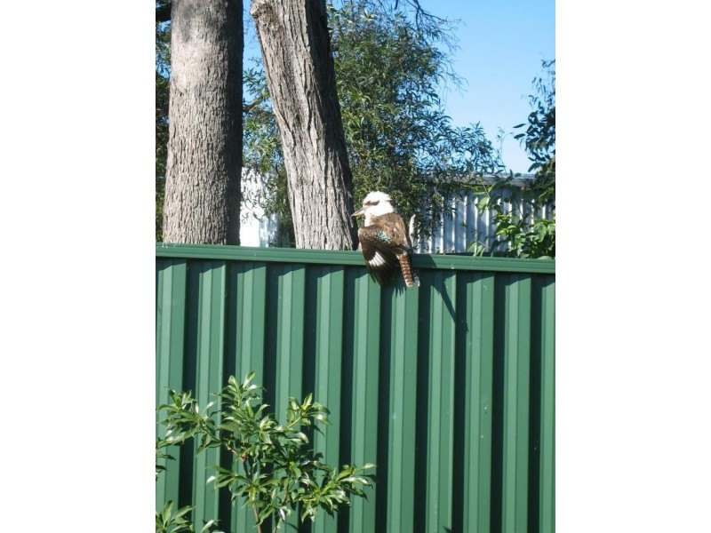 13 MILKY WAY, Mudgeeraba QLD 4213