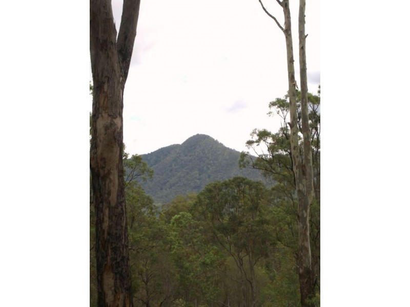 51 Greenmount Court, Samford QLD 4520