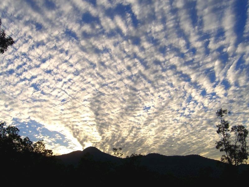 51 Greenmount Court, Samford QLD 4520