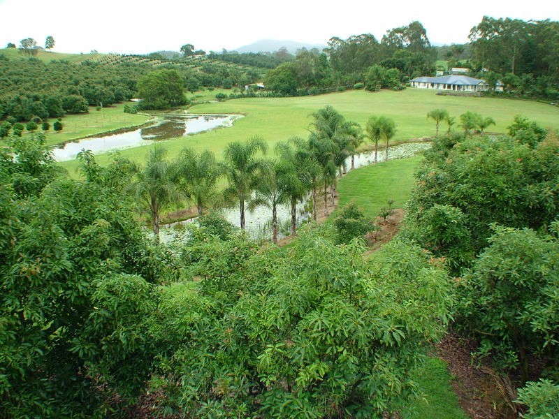 99 CANDLE MOUNTAIN DRIVE, CROMAHURST, Maleny QLD 4552