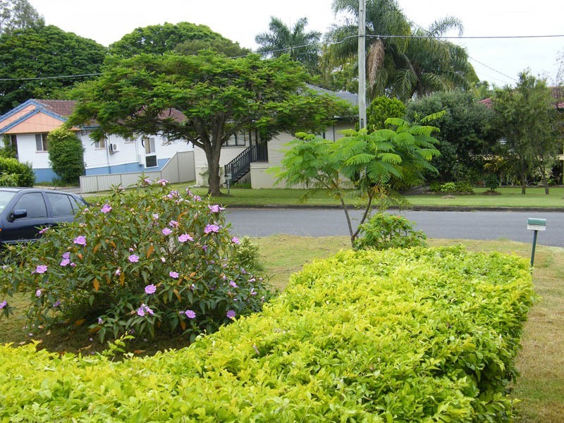 77 Goman St, Sunnybank Hills QLD 4109