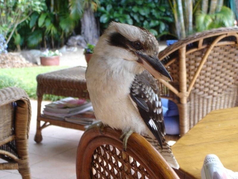 115 Wust Rd, Doonan QLD 4562