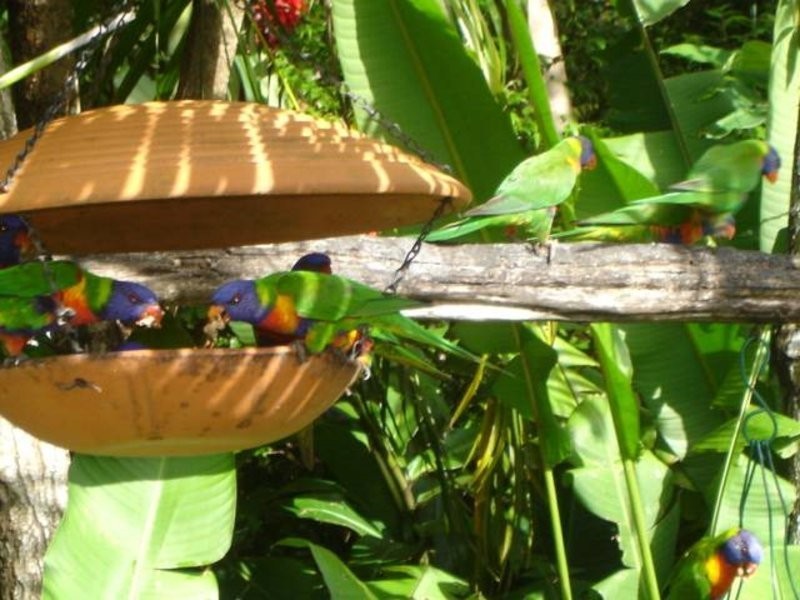 115 Wust Rd, Doonan QLD 4562