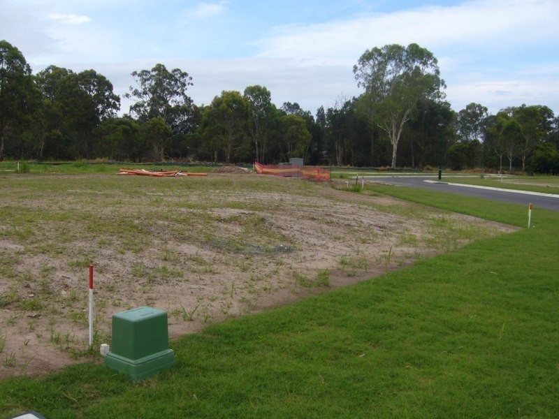 10 Nutmeg Ct, Birkdale QLD 4159