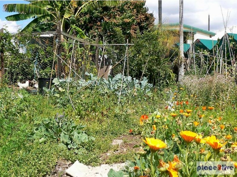 55 Longden  Street, Coopers Plains QLD 4108