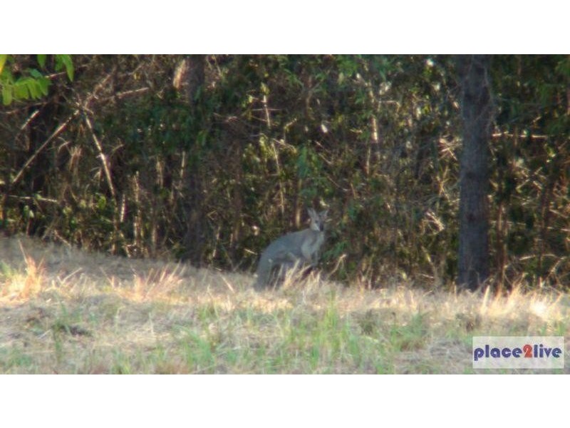 27 Alison Booker Court, Samford QLD 4520