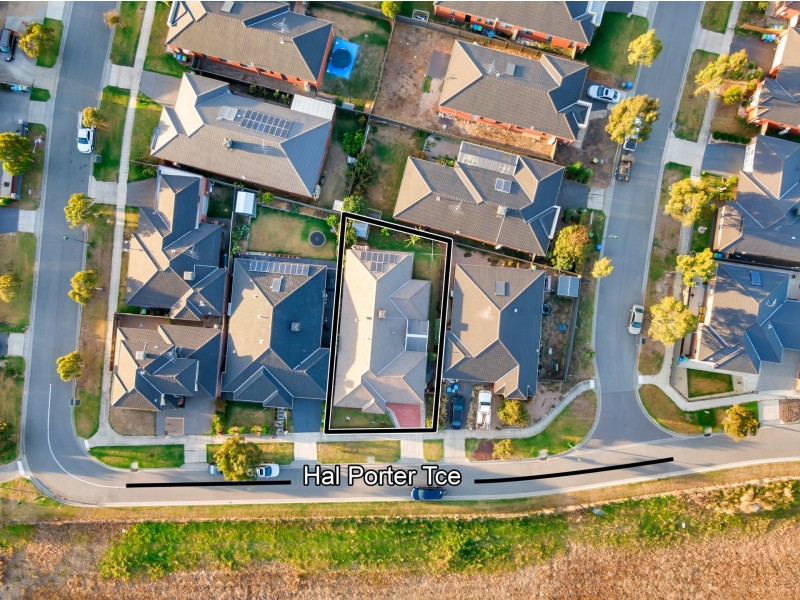 50 HAL PORTER TERRACE, Lynbrook VIC 3975
