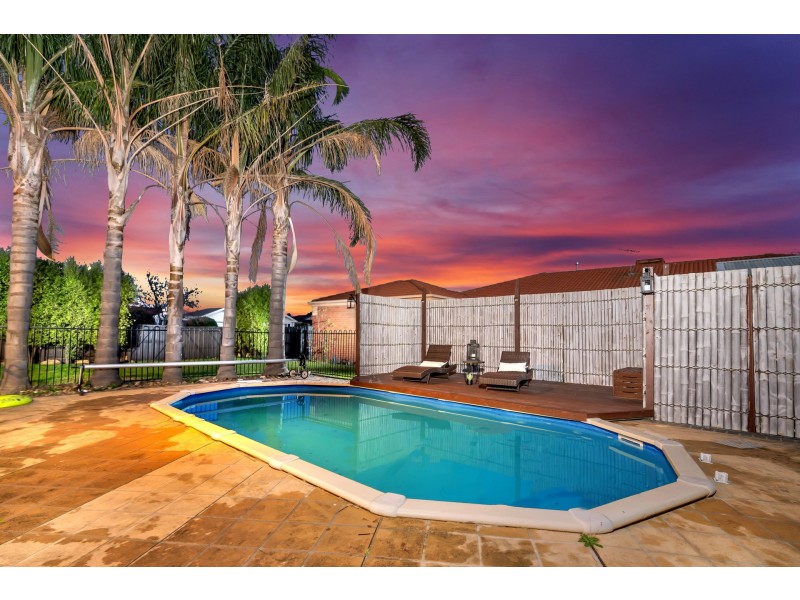 11 COLWYN DRIVE, Narre Warren South VIC 3805