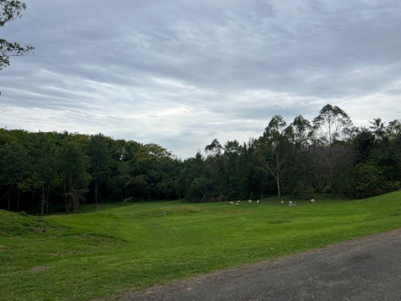 9 Alpine Street, Draper QLD 4520