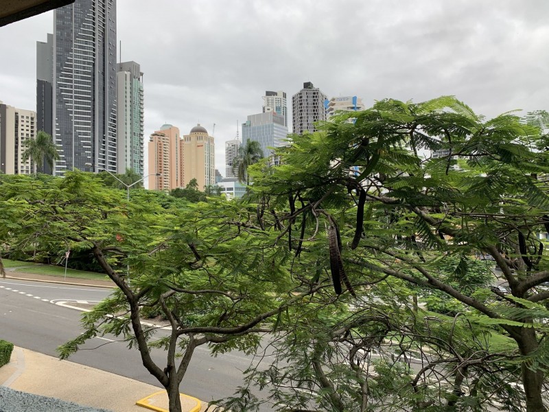 3A/41 Gotha Street, Fortitude Valley QLD 4006