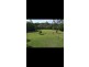 44 Tibbits Street, Bundamba QLD 4304