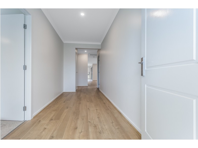 34 Clearwater Street, Newport QLD 4020