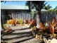 4 Tollington Road, Bowen QLD 4805
