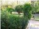 101 Vanhensbroek Road, Bauple QLD 4650