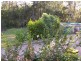 101 Vanhensbroek Road, Bauple QLD 4650