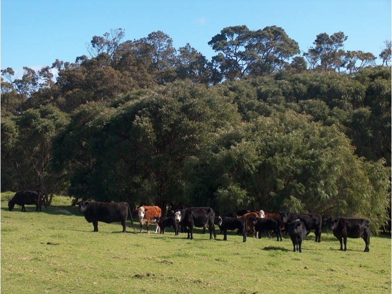 233 Piggot Martin Rd, Lowlands WA 6330