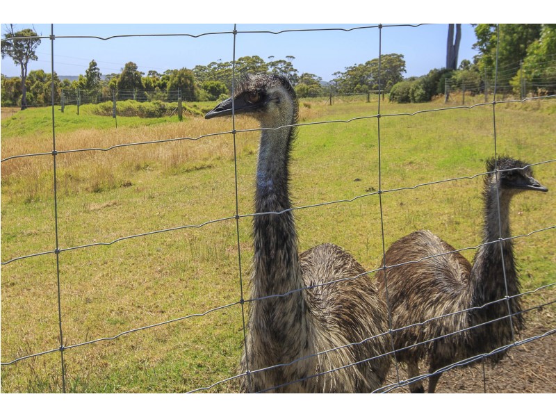 233 Piggot Martin Rd, Lowlands WA 6330