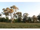 382 Gregory Highway, Emerald QLD 4720