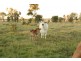 382 Gregory Highway, Emerald QLD 4720