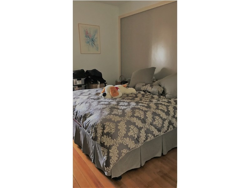 11 Cassia Cl, Stanage QLD 4702