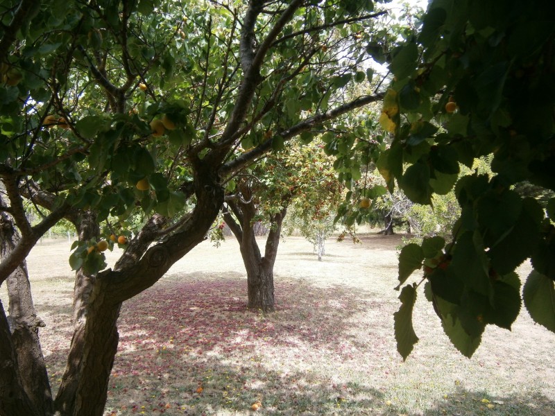 99 rosevears drive, Rosevears TAS 7277