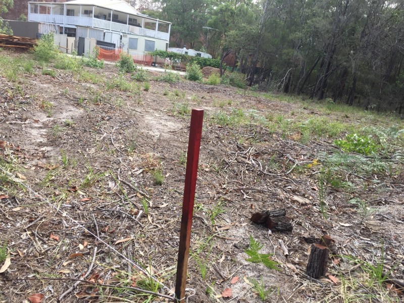 16 Burke Avenue, Russell Island QLD 4184