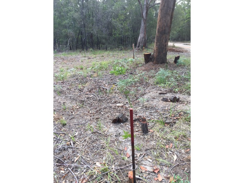 16 Burke Avenue, Russell Island QLD 4184