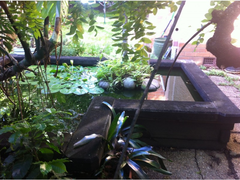 82 Redhill Road, Nudgee QLD 4014