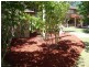 35-39 Sproxton Lane, Nelligen NSW 2536