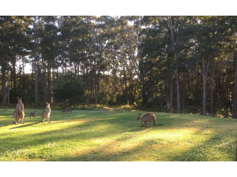 200 Schnapper Beach Road, Urunga NSW 2455