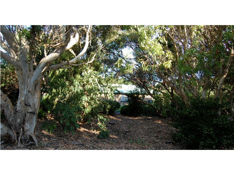 8817 Southern Ports Highway, Beachport SA 5280