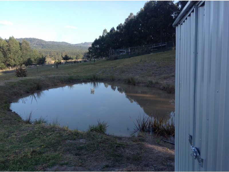 37 Dyraaba Street, Bonalbo NSW 2469