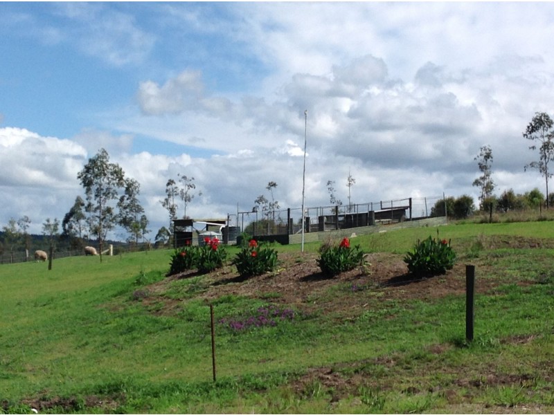 37 Dyraaba Street, Bonalbo NSW 2469