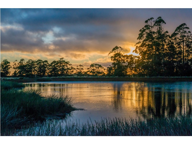 1001 Oldina Road, Oldina TAS 7325
