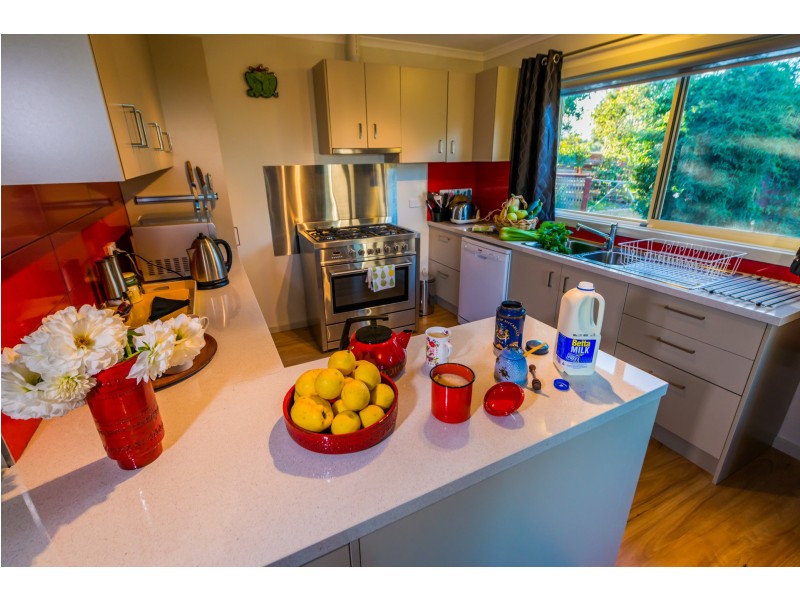 1001 Oldina Road, Oldina TAS 7325