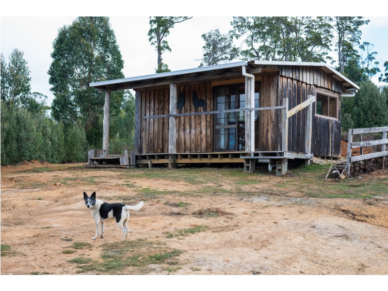 1001 Oldina Road, Oldina TAS 7325