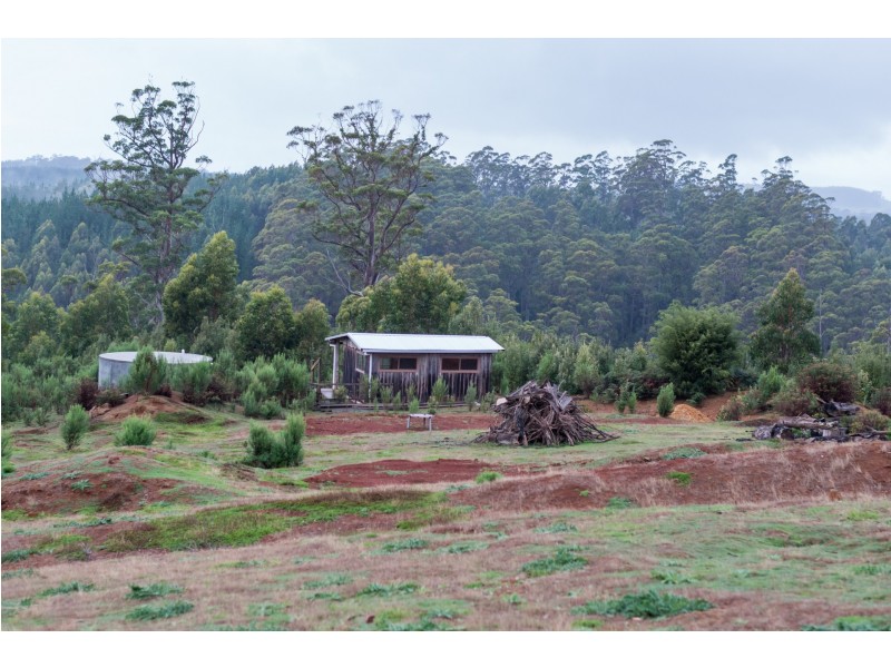 1001 Oldina Road, Oldina TAS 7325