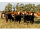 1001 Oldina Road, Oldina TAS 7325