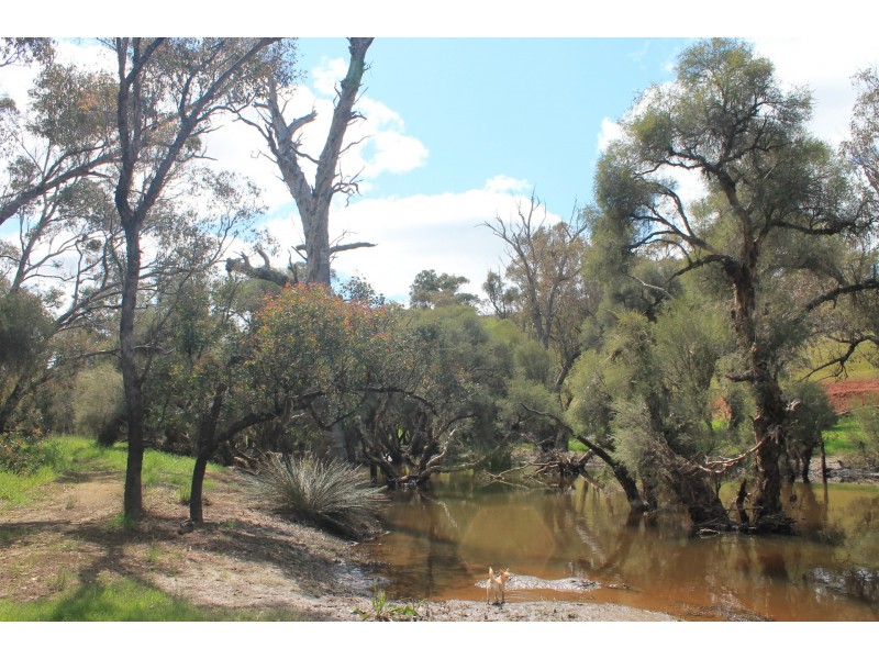 5897 Harvey Quindanning Road, Quindanning WA 6391