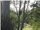 SEAVIEW 350 Stewart Road, Coondoo QLD 4570