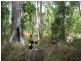 SEAVIEW 350 Stewart Road, Coondoo QLD 4570
